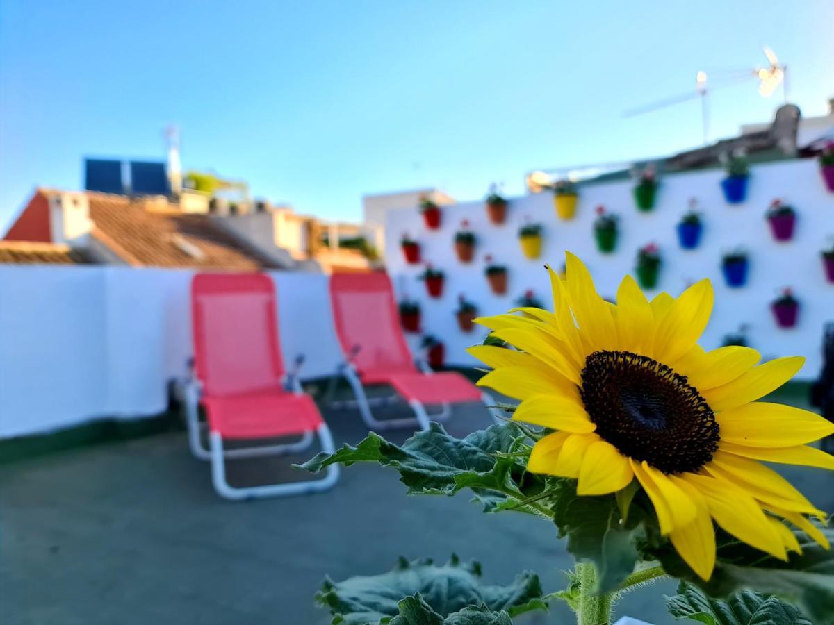 Hostal Funky By Arc House Кордова Екстер'єр фото